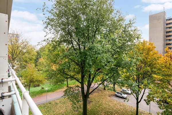 Langswater 831   36.jpg